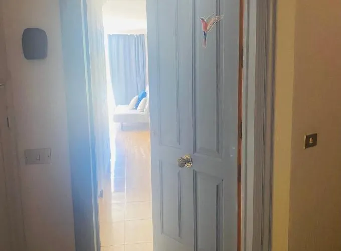 Estudio El Colibri *