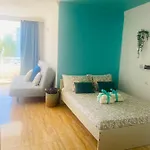 Apartamento Estudio El Colibri