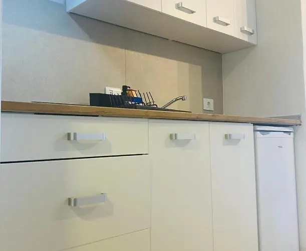 公寓 Estudio El Colibri 圣米格尔德阿沃纳